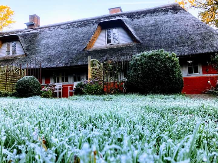 Haus Am Hof gelegene Koppeln